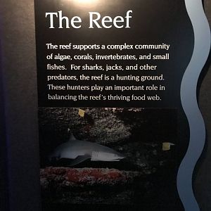 "Hunters On The Reef" sign