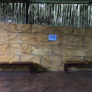 Future Madagascar   Exhibit ?