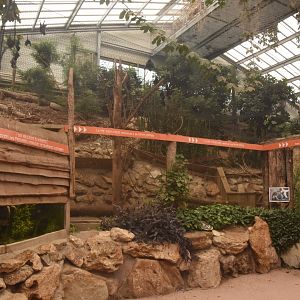 Flying fox & Three-banded Armadillo enclosure