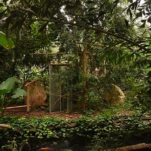 Unused monkey island