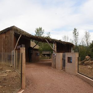 Small African mammals