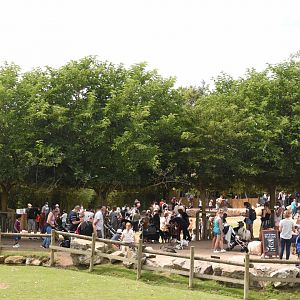 Social distancing.....