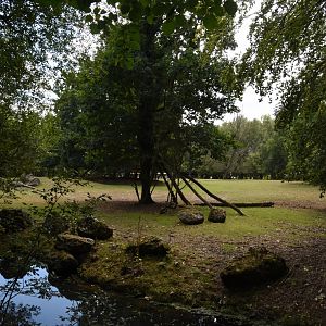 Scimitar-horned Oryx & Greater Kudu enclosure