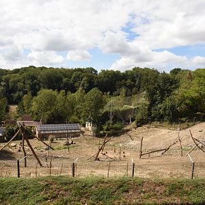 Gelada enclosure