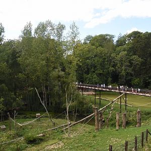 Lion-tailed Macaque, Binturong & Reeves' Muntjac enclosure