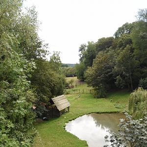 Malayan Tapir enclosure