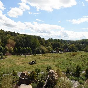Polar Bear enclosure (Polar fox in foreground