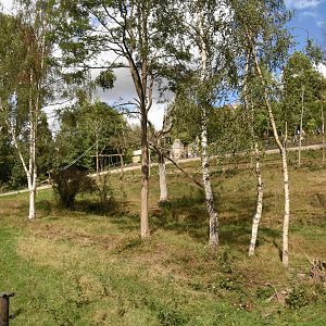 Sulawesi Crested Macaque & Small-clawed Otter enclosure