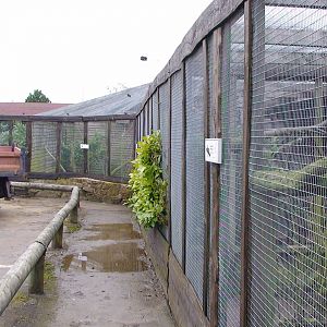 Blackbrook Pheasant aviaries