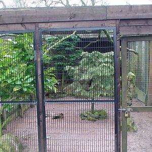 Curassow and Fireback aviaries