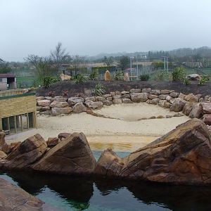 Penguin pool