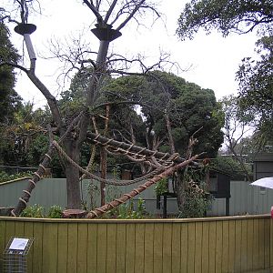 Tree kangaroo enclosure - Melbourne zoo 05