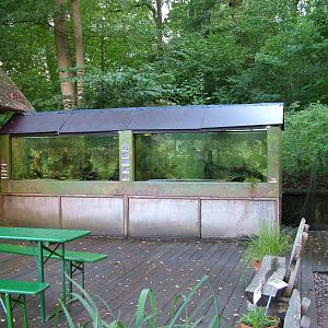 Zoo Schwerin - European freshwater fish aquariums