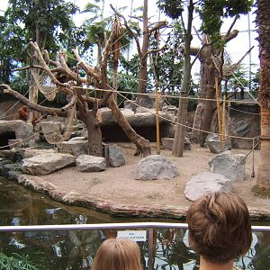 View inside Hagenbecks Orang House 2007