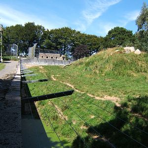 Dartmoor Zoological  Park tiger enclosure