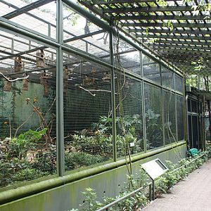 Parrot Paradise, Jurong BirdPark