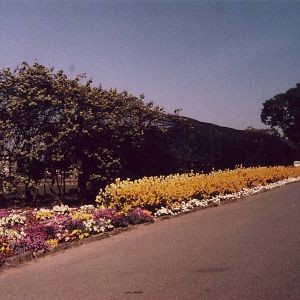 Rainbow Aviary Chester Zoo 15 May 1980