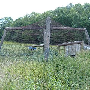 Cardiff Zoo eopard Cage Spring 2007
