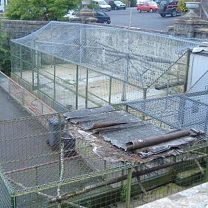 cages in the old Belfast Zoo