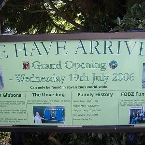 Moloch Gibbon sign at Belfast Summer 2007