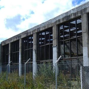 Causeway Safari Park, May 2007,