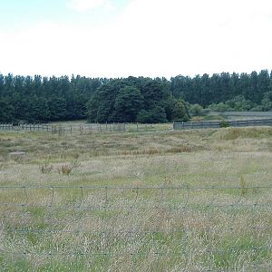 Drive-through reserves at Causeway Safari Park, May 2007,