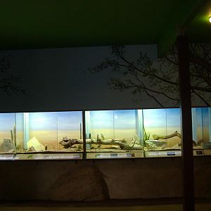 Marwell's new reptile house, Summer 2007