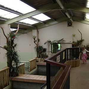Marwell's Semi-aquatic Mammal House, Summer 2007