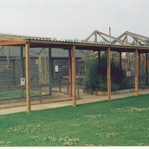 cages at Hammerton, 2002