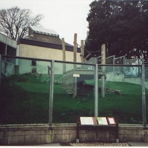 Dublin Zoo's Gorilla enclosure in 1999