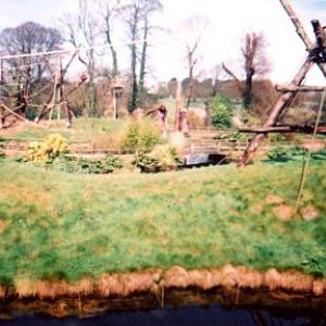 Jersey Zoo's Orangutan Island in 2002