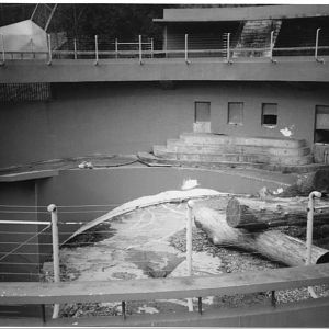 Dudley's old Polar Bear pit in 2000
