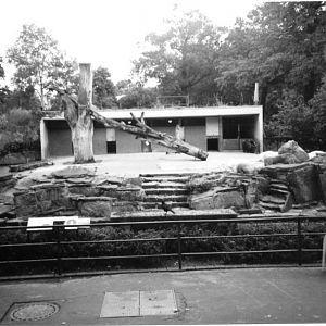 Hannover Bear enclosure 1998