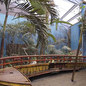 St Lucia amazon aviary (chester)