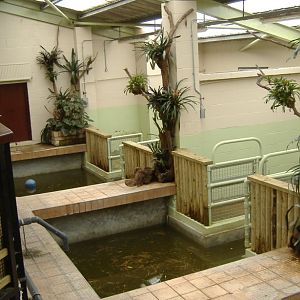 Hippo Pools in Marwell's Semi-aquatic Mammal House 2007