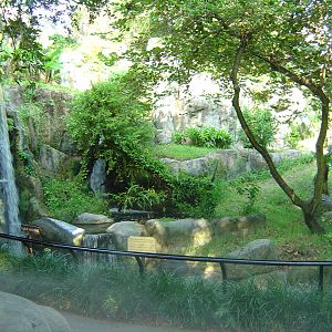 Myombe Reserve at Busch Gardens