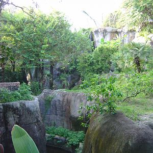 Myombe Reserve at Busch Gardens