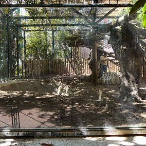 Empty enclosure next to bears