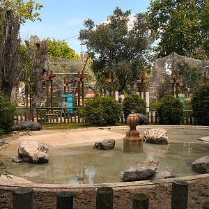 pygmy hippo enclosure
