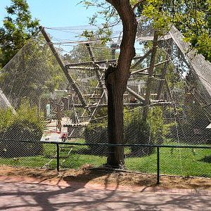 red ruffed lemur enclosure