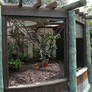 small primate exhibit - shutter lifted as I passed