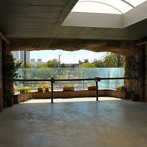 temple window out onto chimps/gorillas