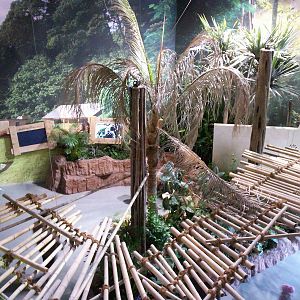 Interior of Budongo exhibition space