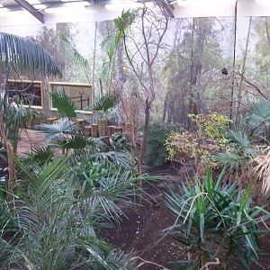 Rainbow landings at Edinburgh zoo