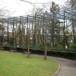 Golden cheeked gibbon enclosure at Edinburgh zoo