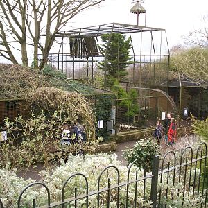 Aviaries at Edinburgh zoo