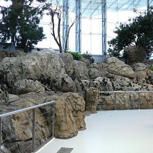 Birds at Lisbon Oceanario (aquarium)