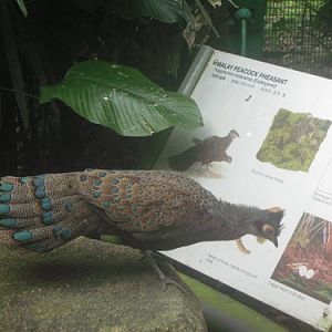 I didn't know that ?!