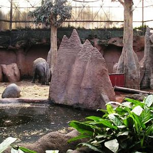 Blijdorp / Rotterdam Taman indah