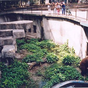 Brown Bear Enclosure - Havana Zoo, Cuba 2004
